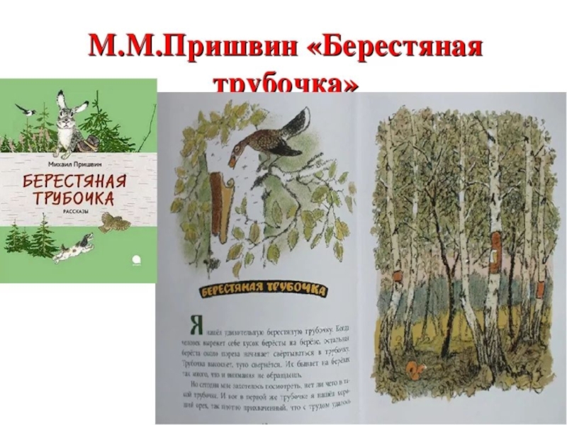 Краткое содержание рассказа ёж (м.пришвин) + отзыв