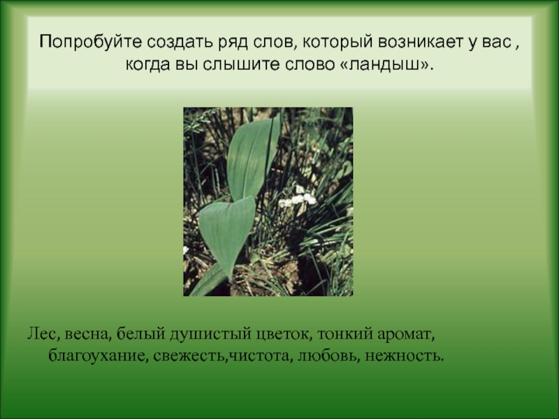 Ландыш