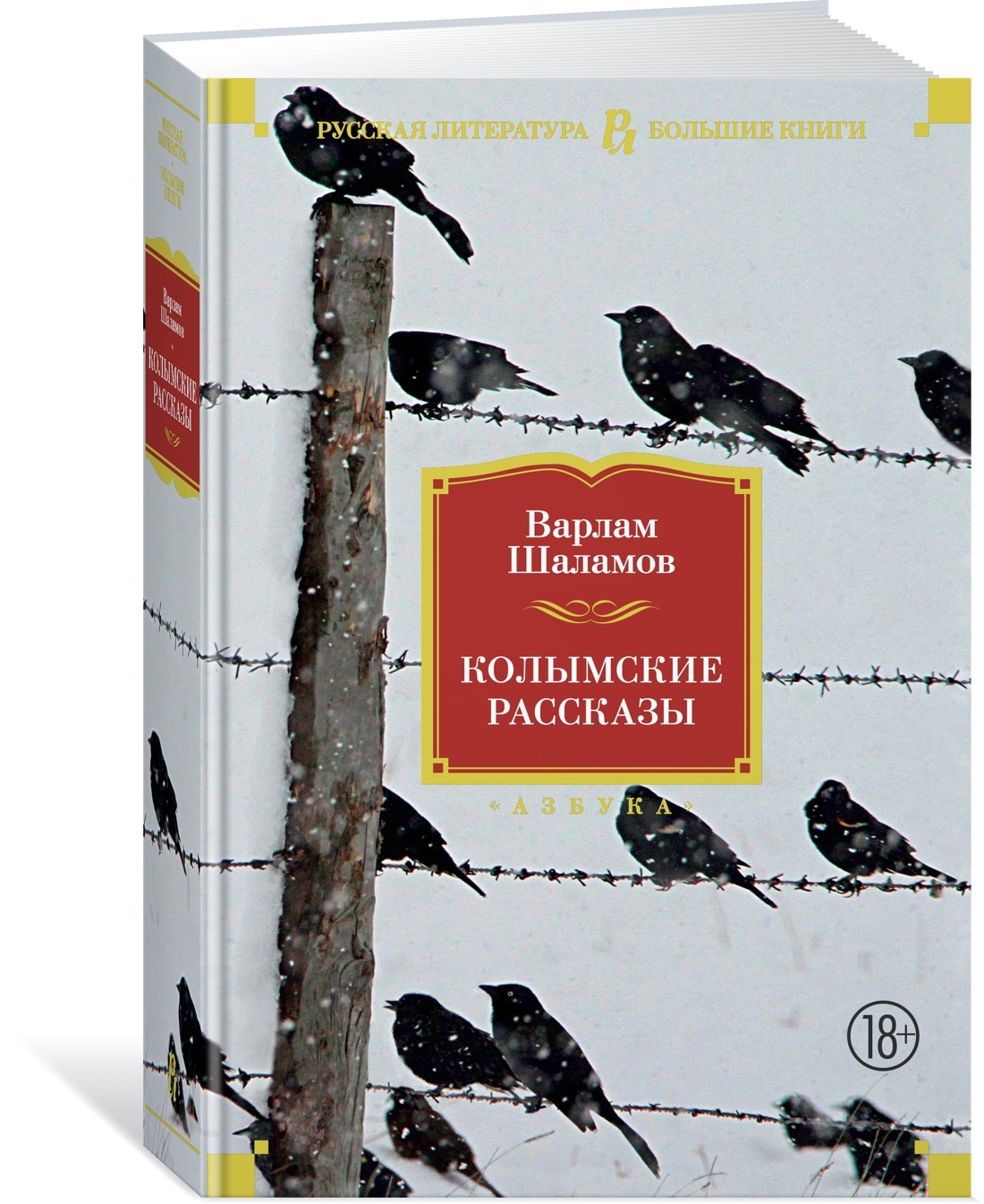 «колымские рассказы» краткое содержание книги шаламова – читать пересказ онлайн