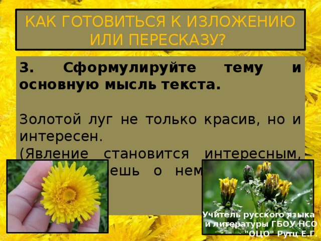 Пословицы золотой луг пришвин