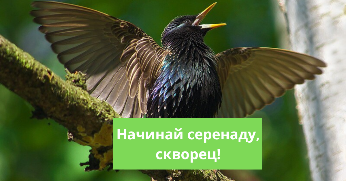 Роль изобразительно-выразительных средств в стихотворениях николая заболоцкого | статья в журнале «молодой ученый»