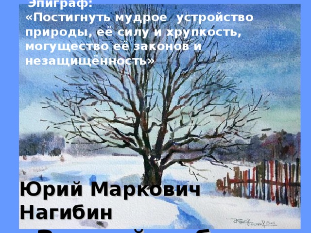 Нагибин зимний дуб. ю