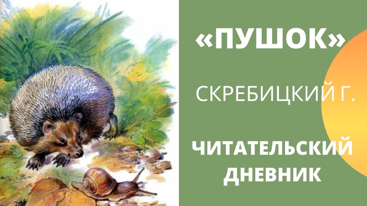 Носатик