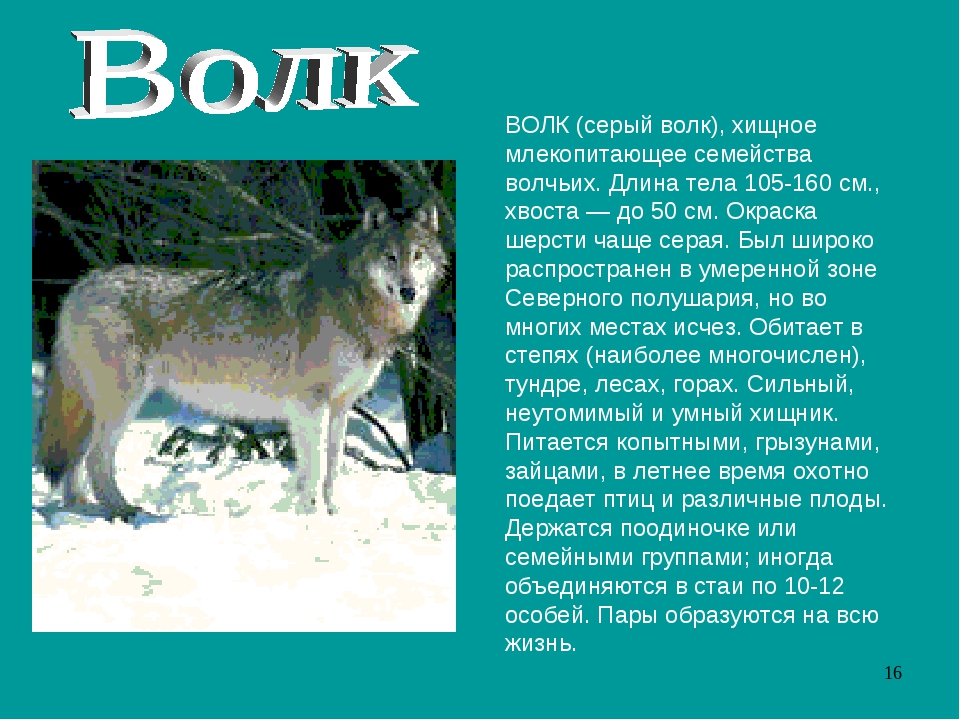 Электронный читательский дневник ани зайцевой/ часть 3