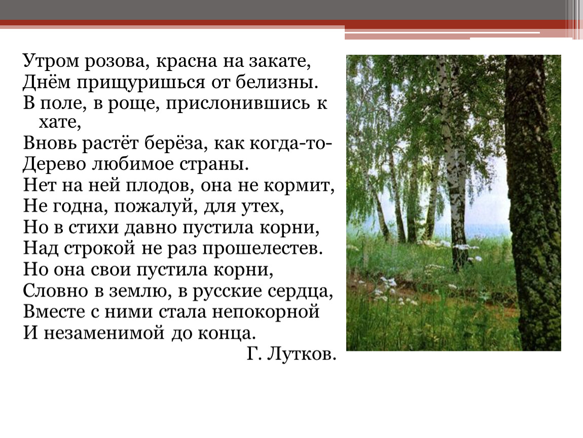 Пермяк, "березовая роща", читательский дневник