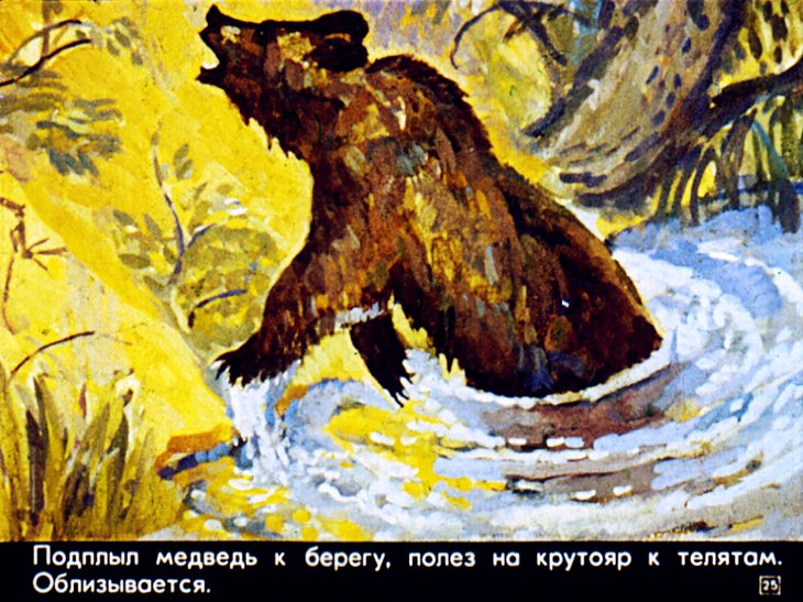 Краткое содержание паустовский дремучий медведь для читательского дневника