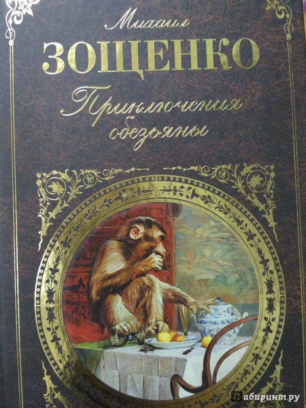 Читательский дневник рассказ про обезьянку
