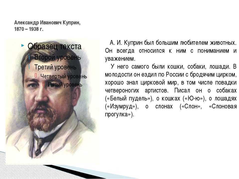 Куприн «бедный принц»