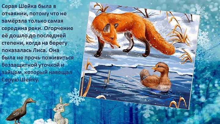 «серая шейка» для читательского дневника: анализ сказки, краткий пересказ, отзывы