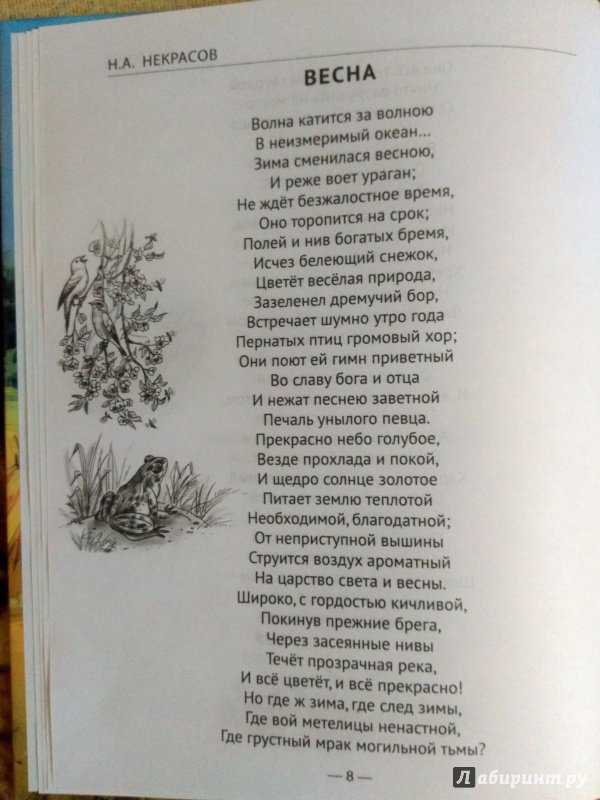Н некрасов всегда хороша несравненно. анализ стихотворения некрасова ты всегда хороша несравненно по плану