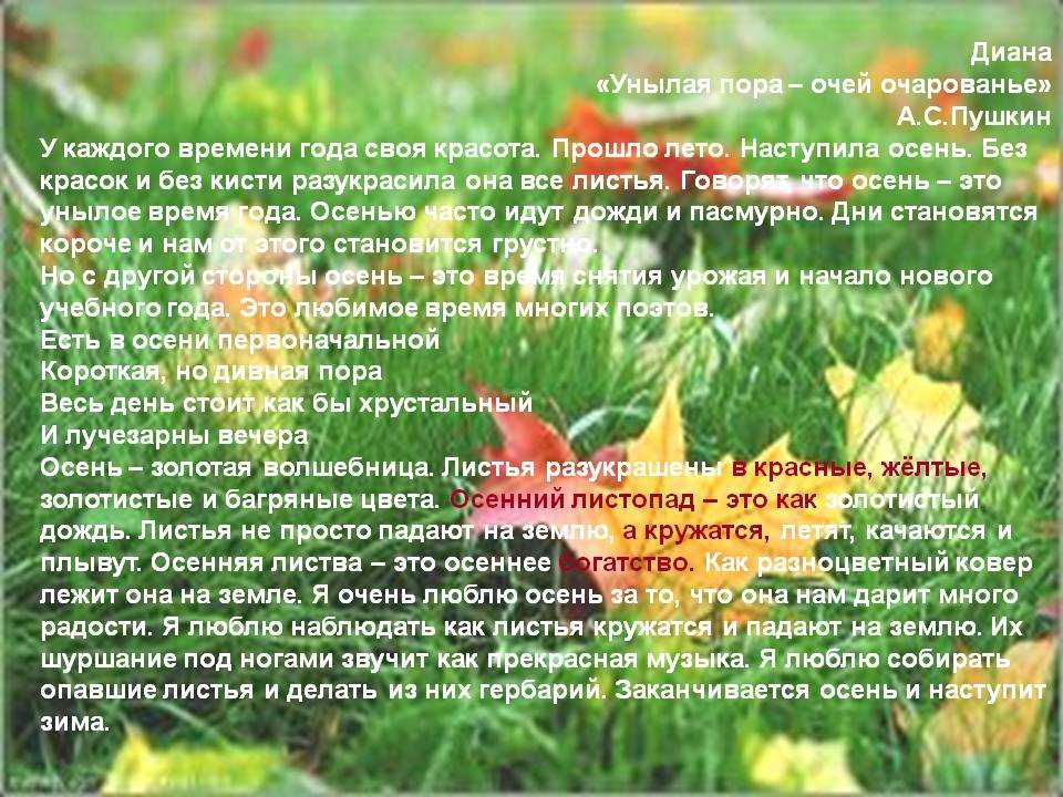 Времена года. сочинения для 5-6 классов
