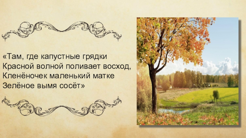 Композиционный и смысловой анализ стихотворения есенина «береза. лирический герой есенина как выражение русской национальной психологии