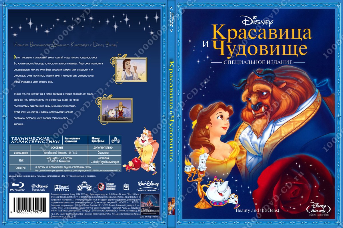 Читательский дневник «красавица и чудовище» шарля перро