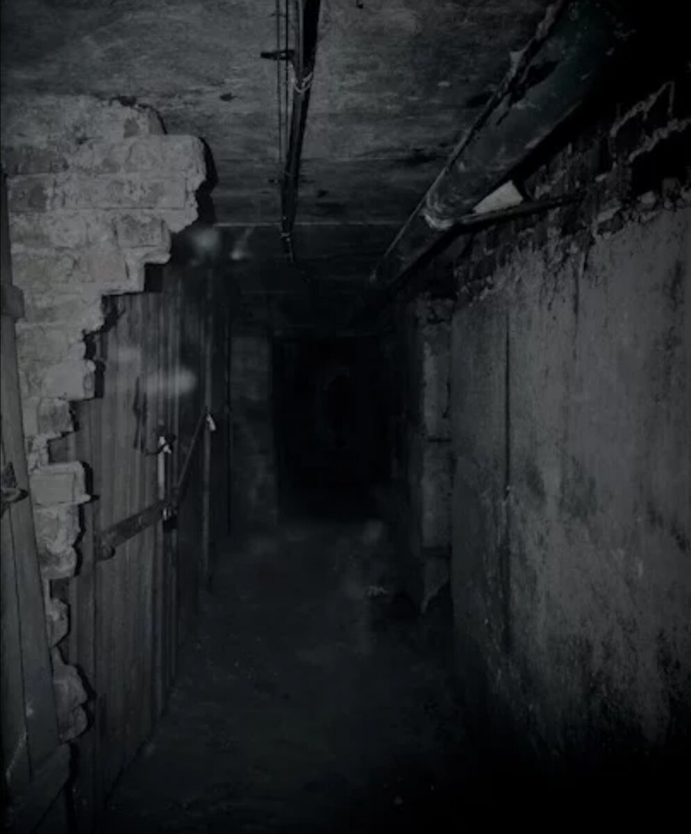 Николай клюев, лучшие стихи, поэмы, биография, фотогалерея