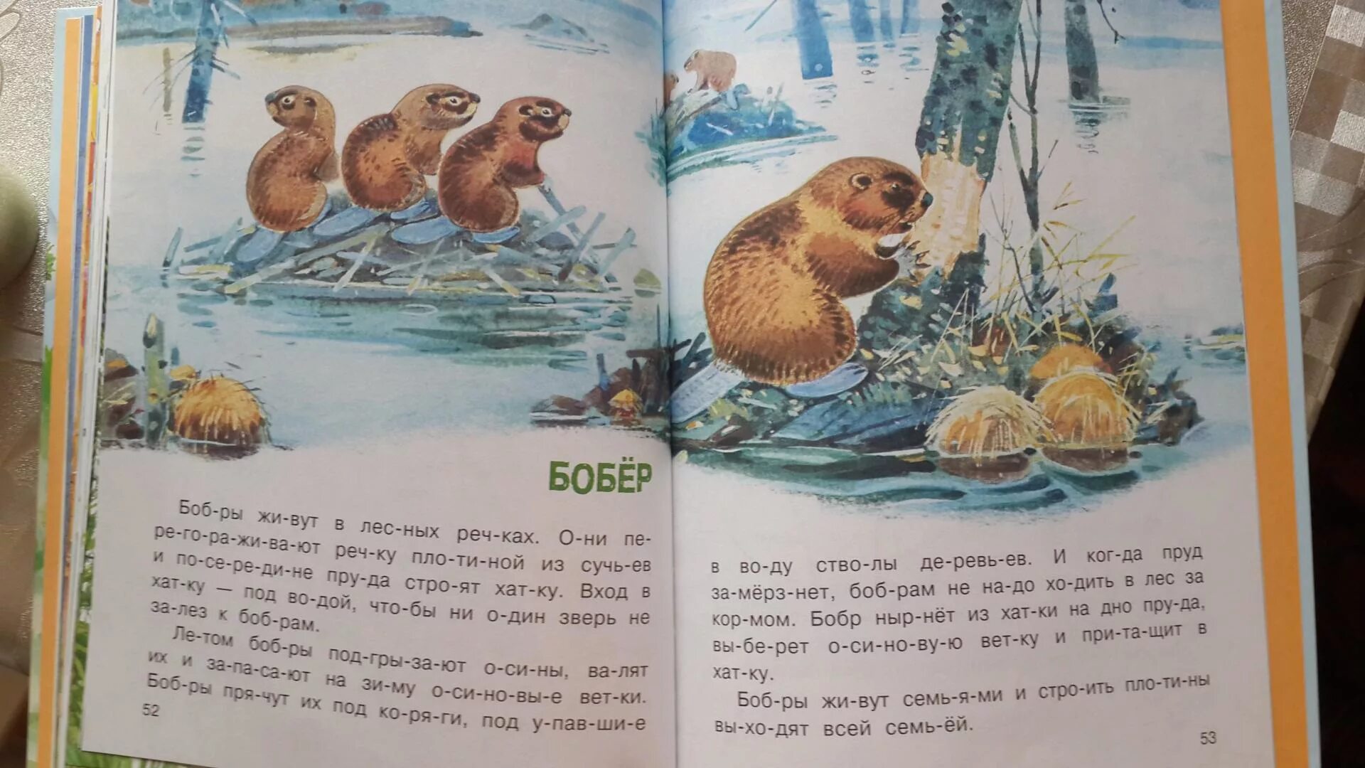 Как составить план рассказа снегирева "бобровая хатка": пошаговая инструкция