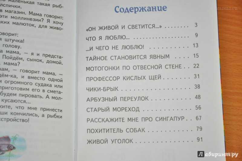 Слон и радио: читать денискины рассказы драгунский