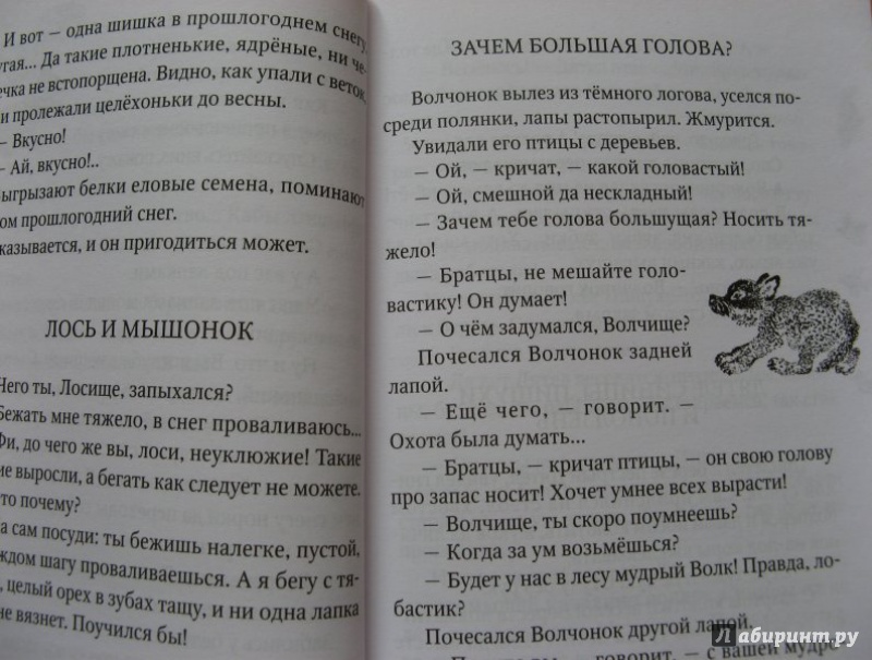Шим рассказы читательский дневник