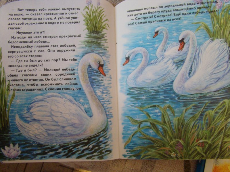 Сказка андерсена «гадкий утёнок» для читательского дневника
