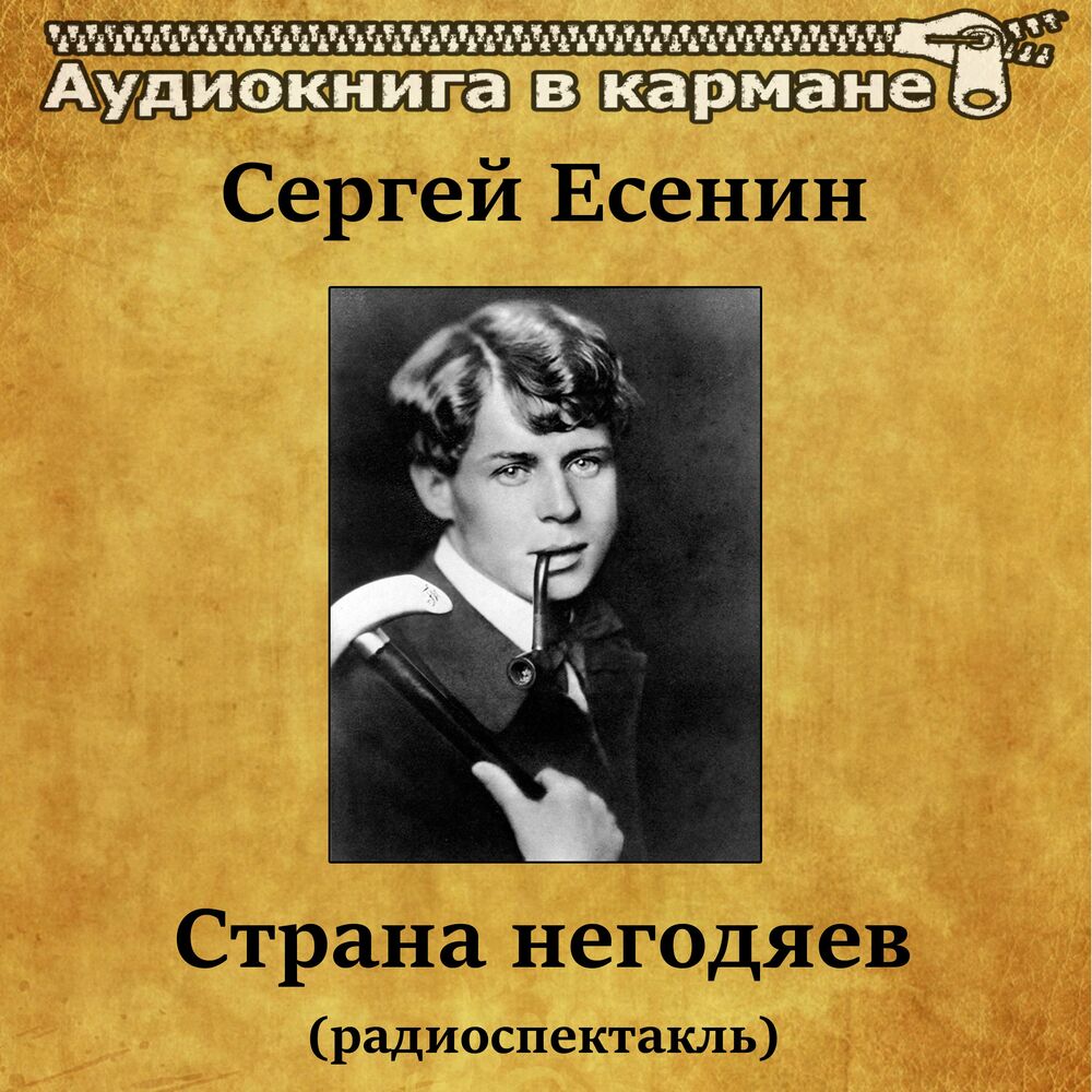 Страна негодяев (есенин) — читать онлайн