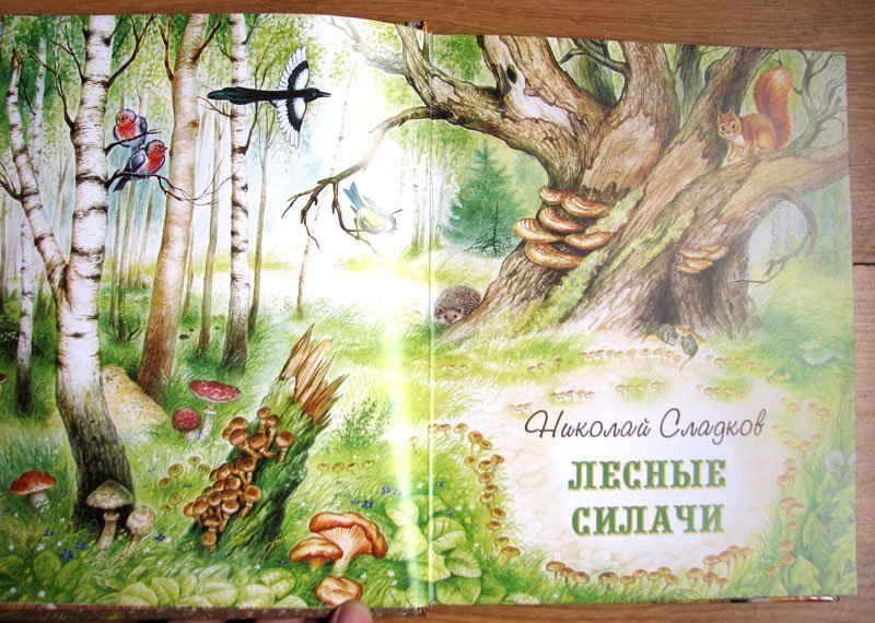 Главная мысль произведения сладкова «лесные силачи»: разрушение природы под влиянием человека