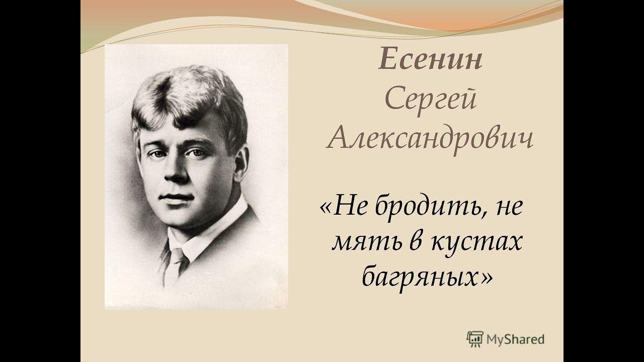 «край любимый», анализ стихотворения есенина. анализ стихотворения не бродить не мять в кустах багряных есенина. анализ стихотворения о русь взмахни крылами есенина
