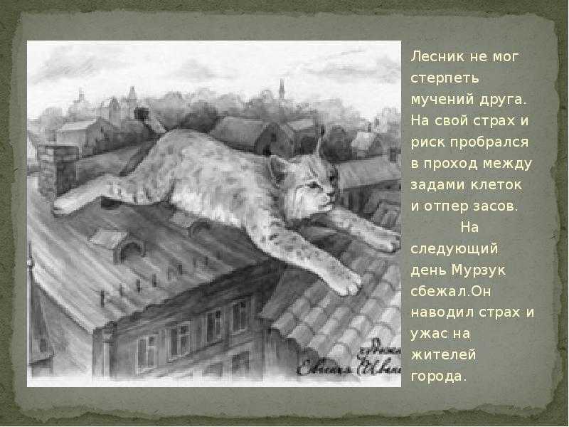 «мурзук» бианки - краткое содержание повести