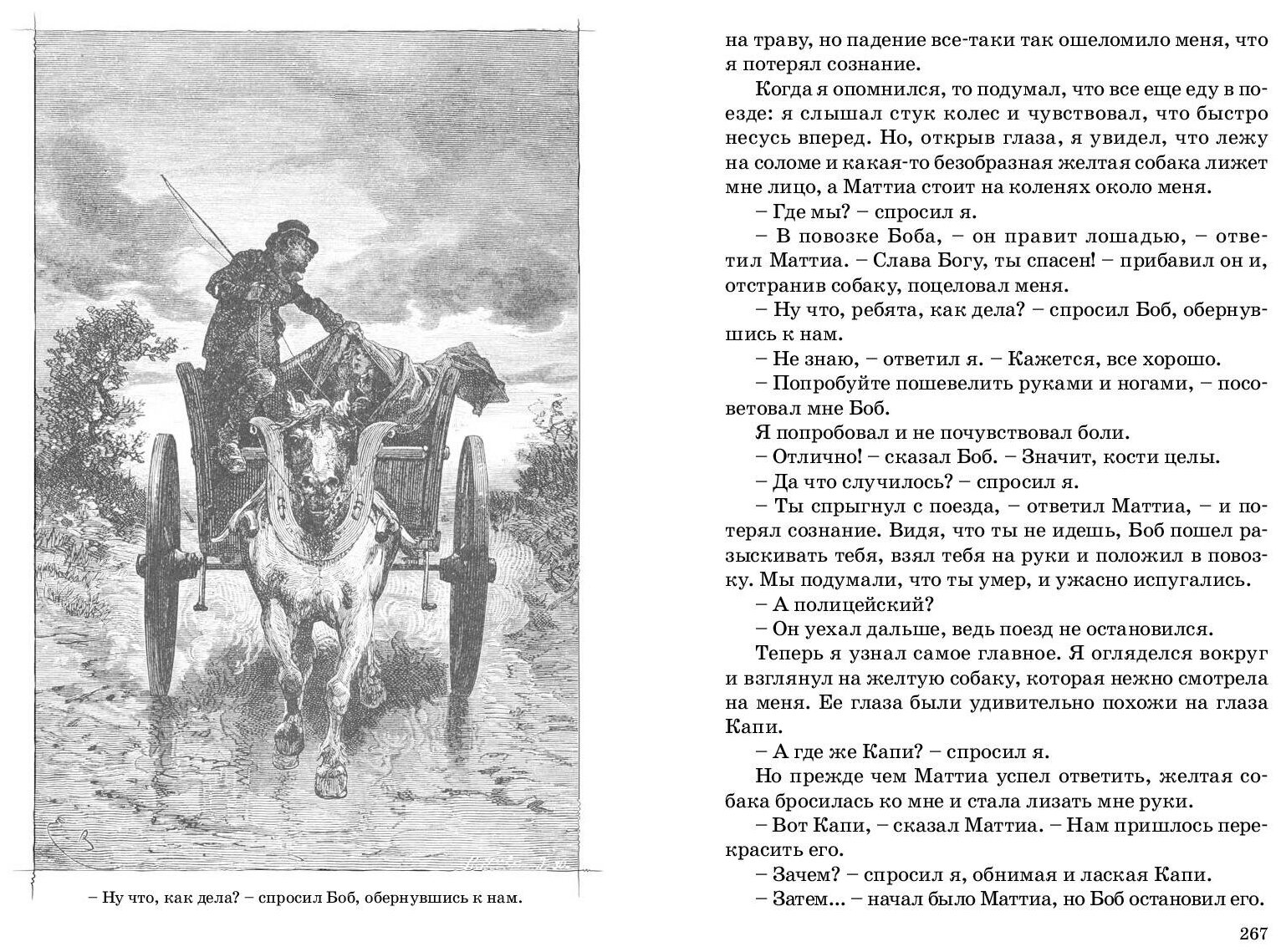 Без семьи краткое содержание главам. «без семьи