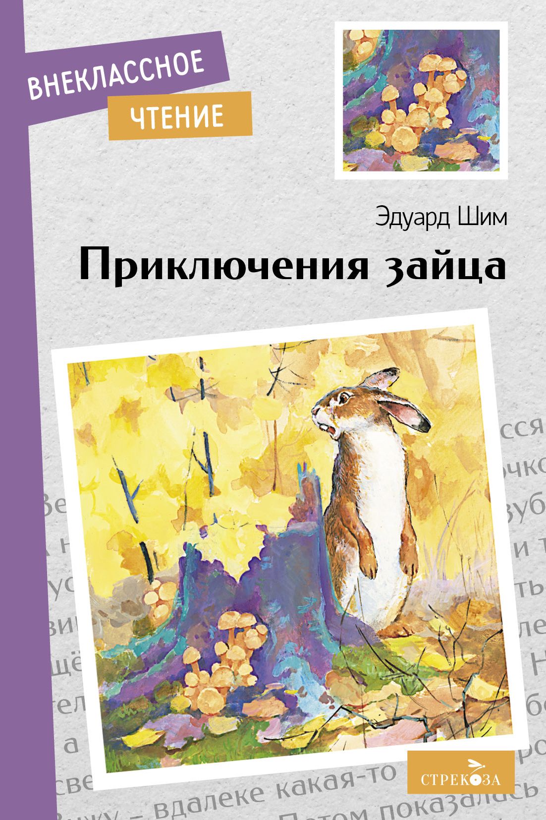 Шим рассказы читательский дневник