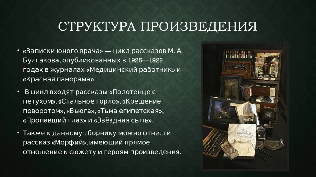 Записки юного врача · краткое содержание цикла булгакова