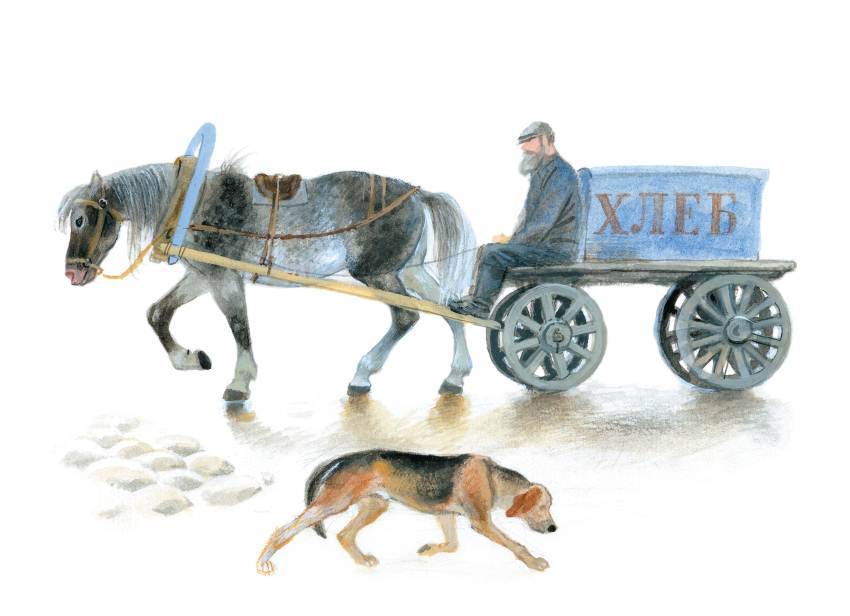 "моя любимая книга" по рассказу ю.казакова "арктур-гончий пес" презентация, доклад