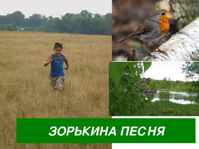 Краткая биография виктора астафьева для школьников 1-11 класса. кратко и только самое главное