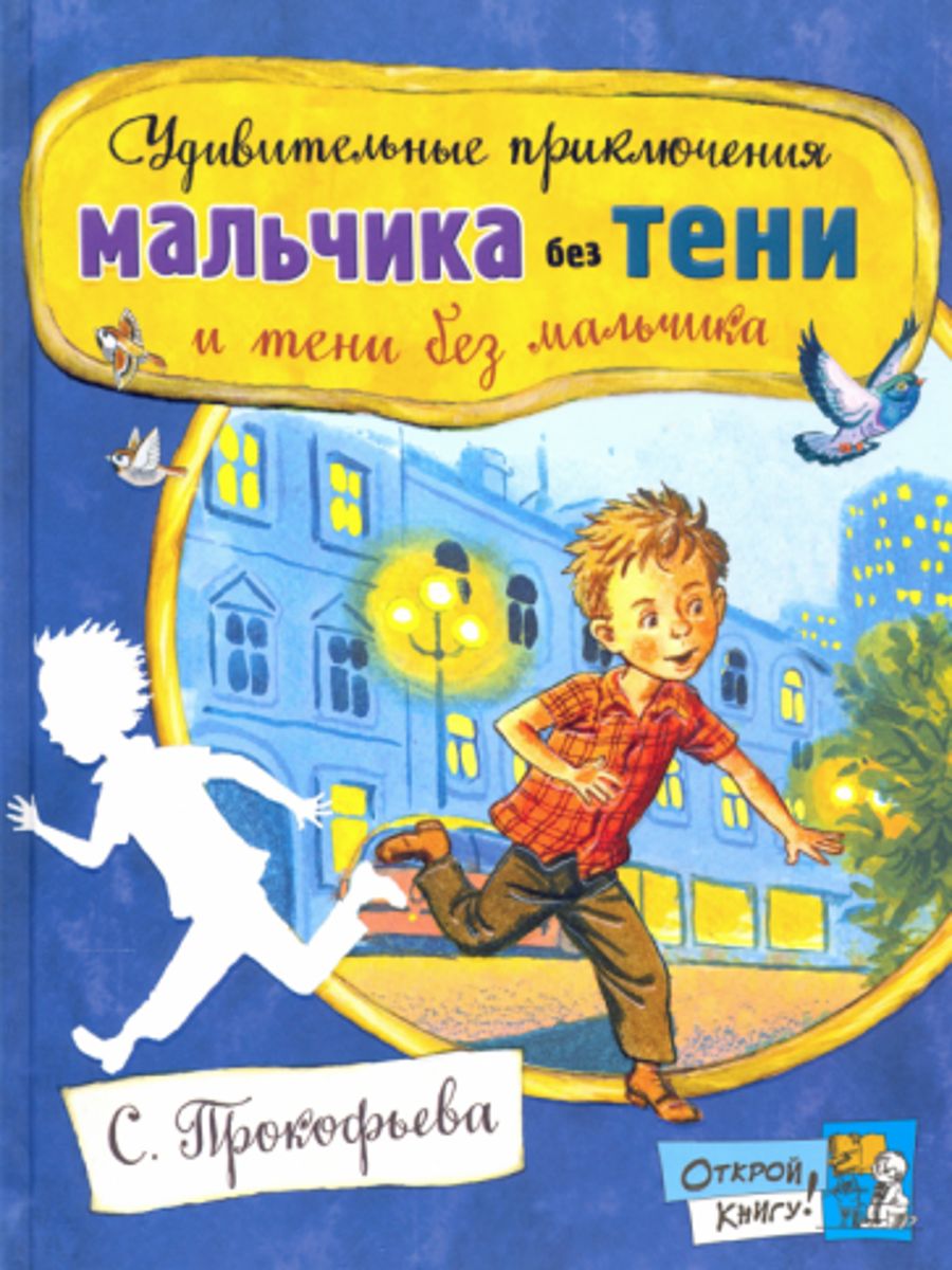 Удивительные приключения мальчика без тени и тени без мальчика краткое содержание 5 предложений