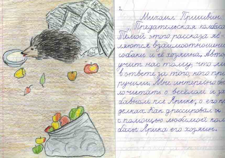 Серая шейка чем понравилось произведение для читательского дневника