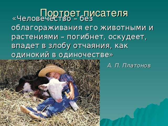 Что произошло с коровой в произведении платонова. анализ рассказа «корова» (платонов а п)
