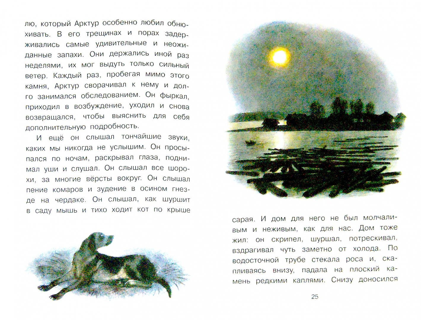 Юрий казаков гончий пес краткое содержание. «арктур - гончий пес»: изложение рассказа