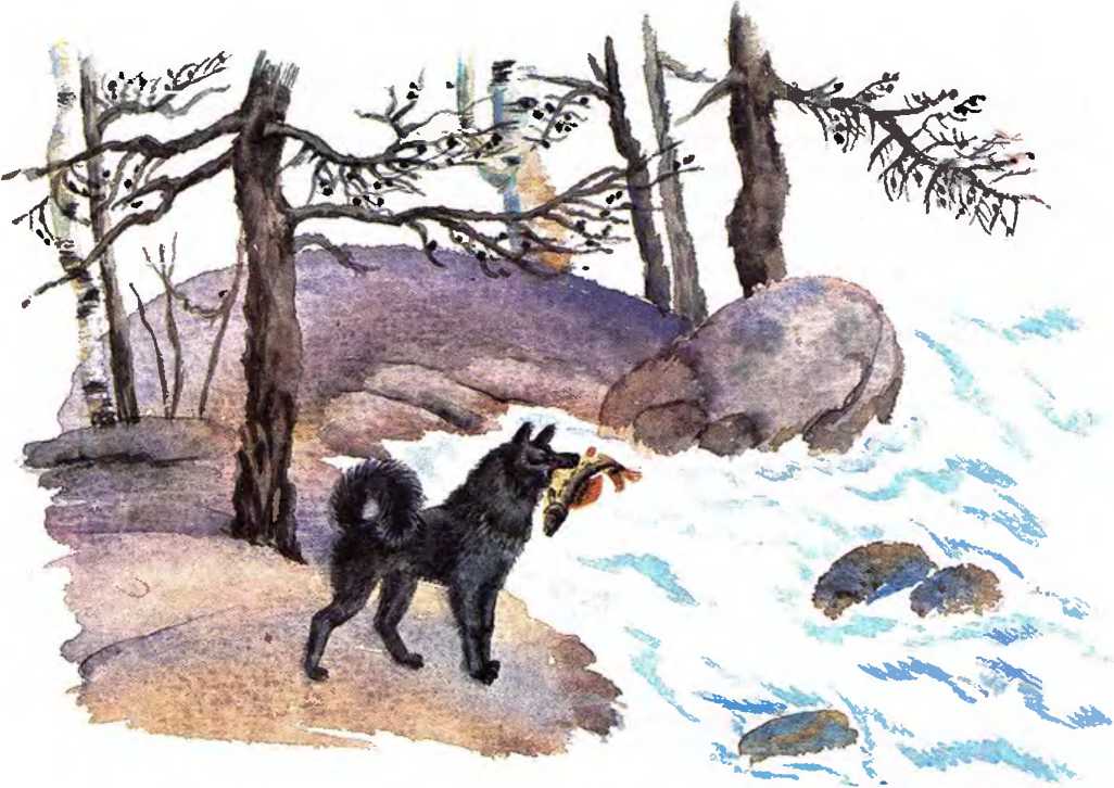 Главная мысль багульник рассказа