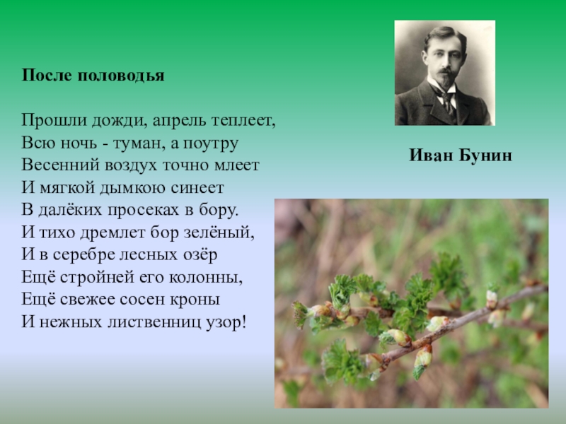 Анализ стихотворения бунина про любовь