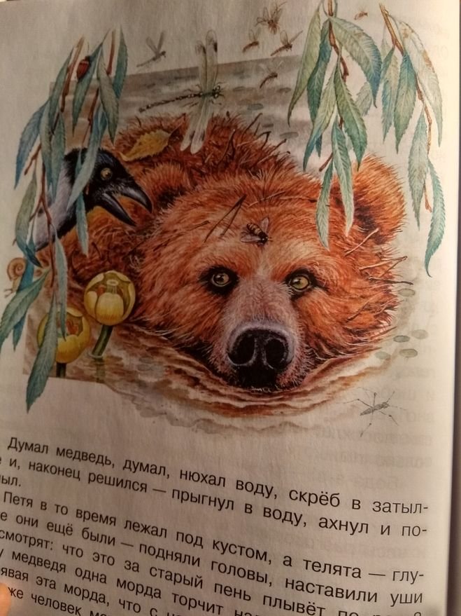 Дремучий медведь: главные герои и мысль в произведениях паустовского