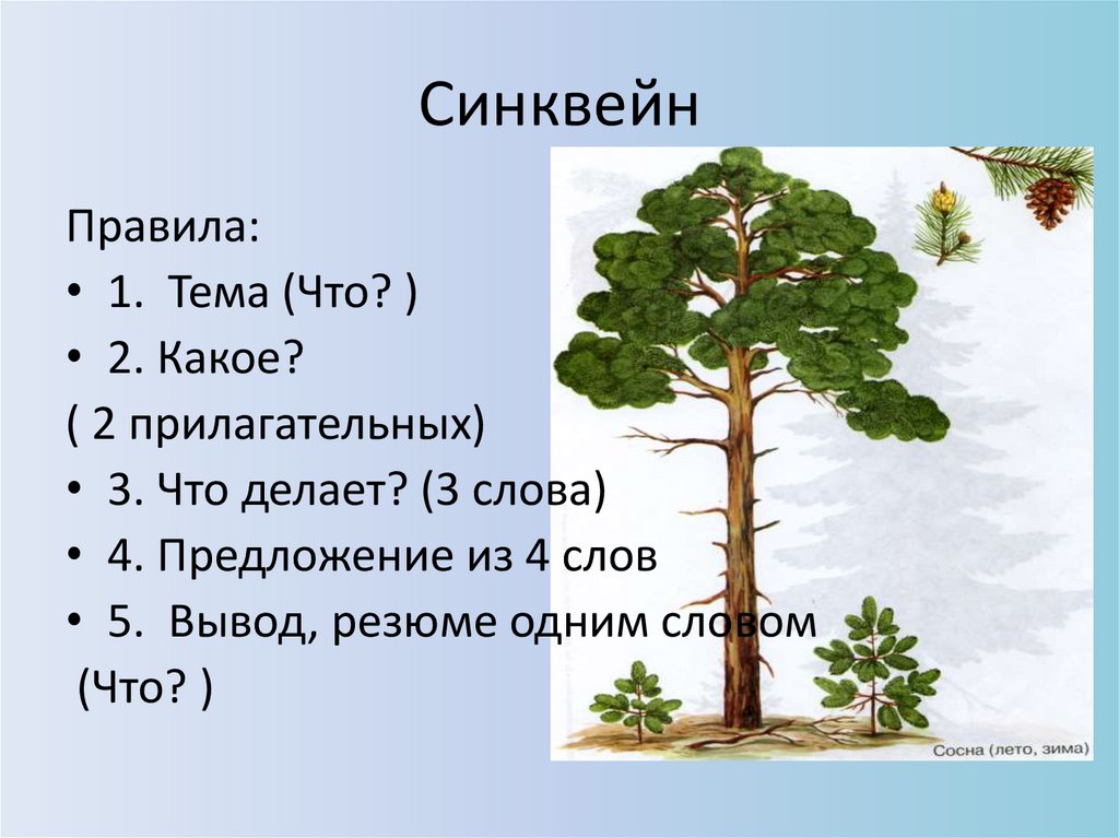 Синквейн на тему лето отдых