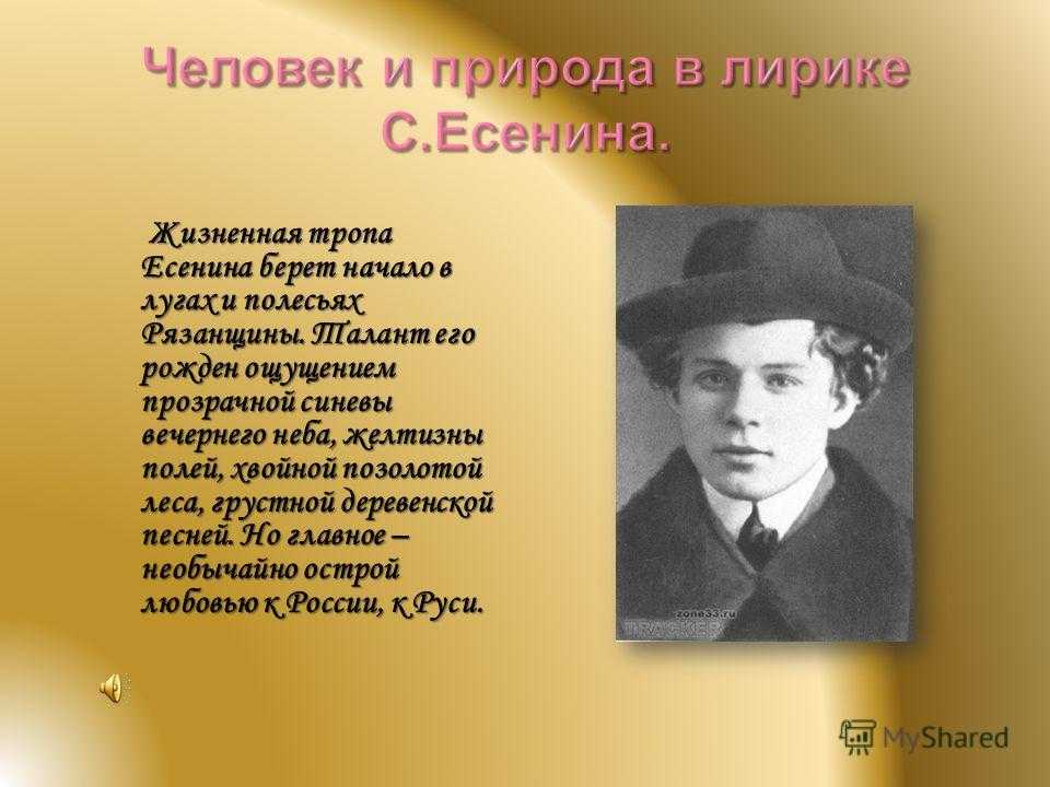 Какое художественное средство здесь использует с есенин не напрасно дули