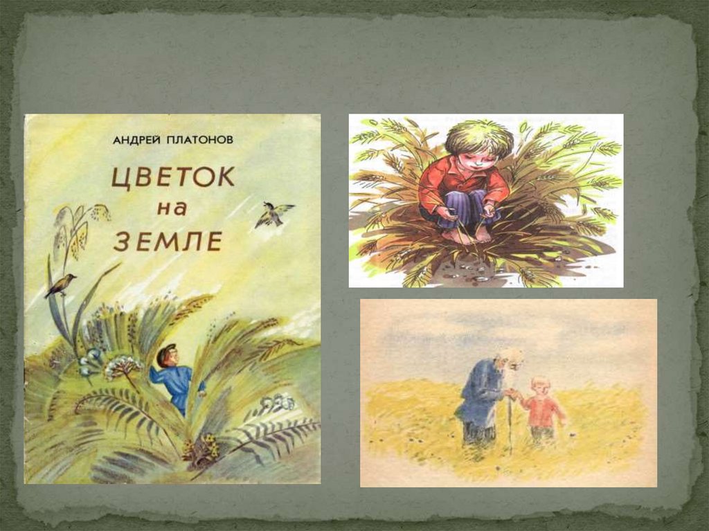Платонов цветок на земле главная мысль рассказа - граматика и образование на pisanino.ru