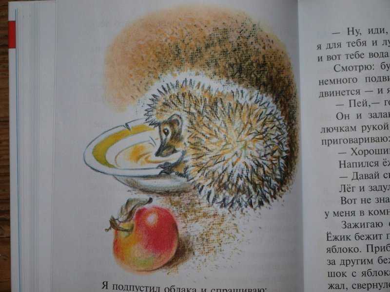 Основная мысль рассказа еж пришвина для читательского дневника - граматика и образование на pisanino.ru