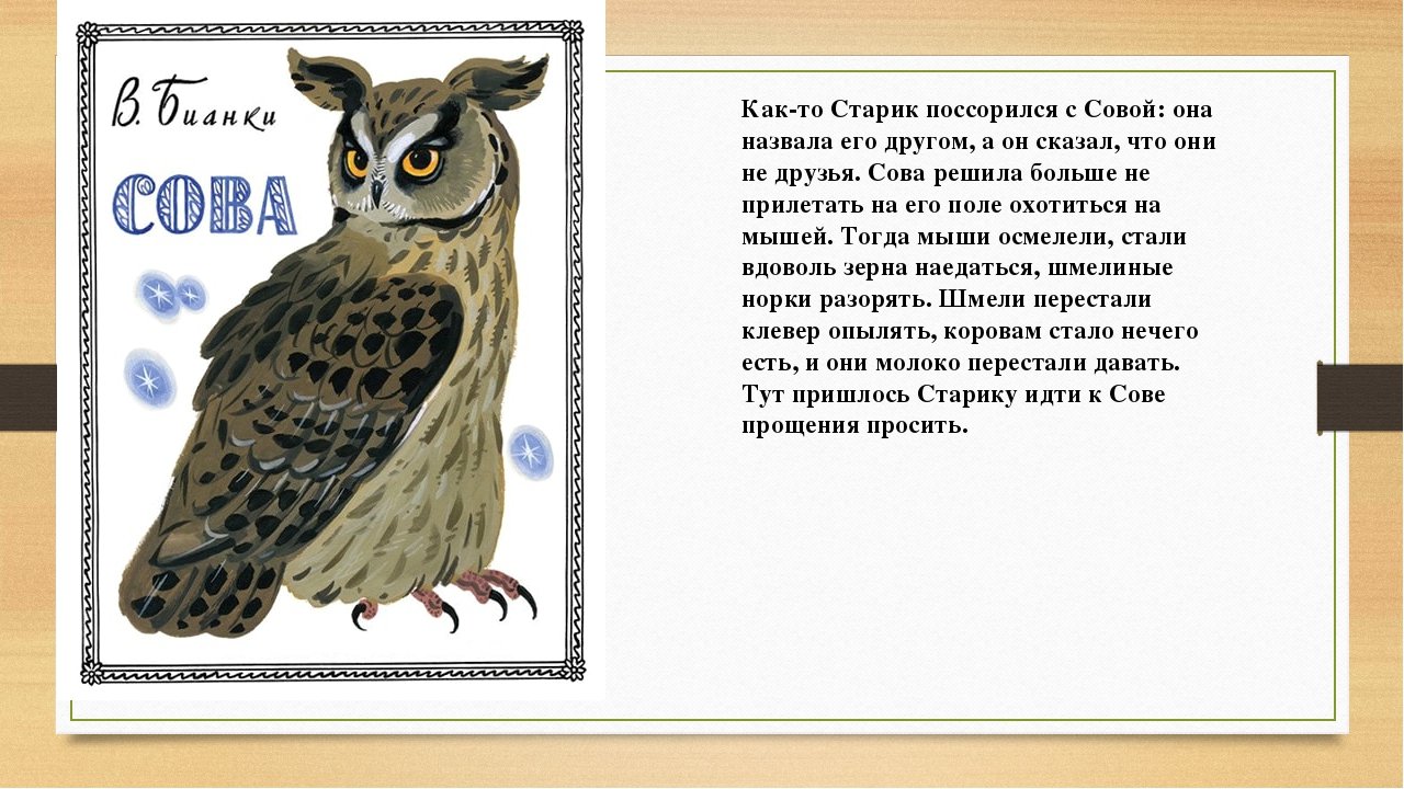 Краткое содержание бианки сова для читательского дневника: произведение совушка