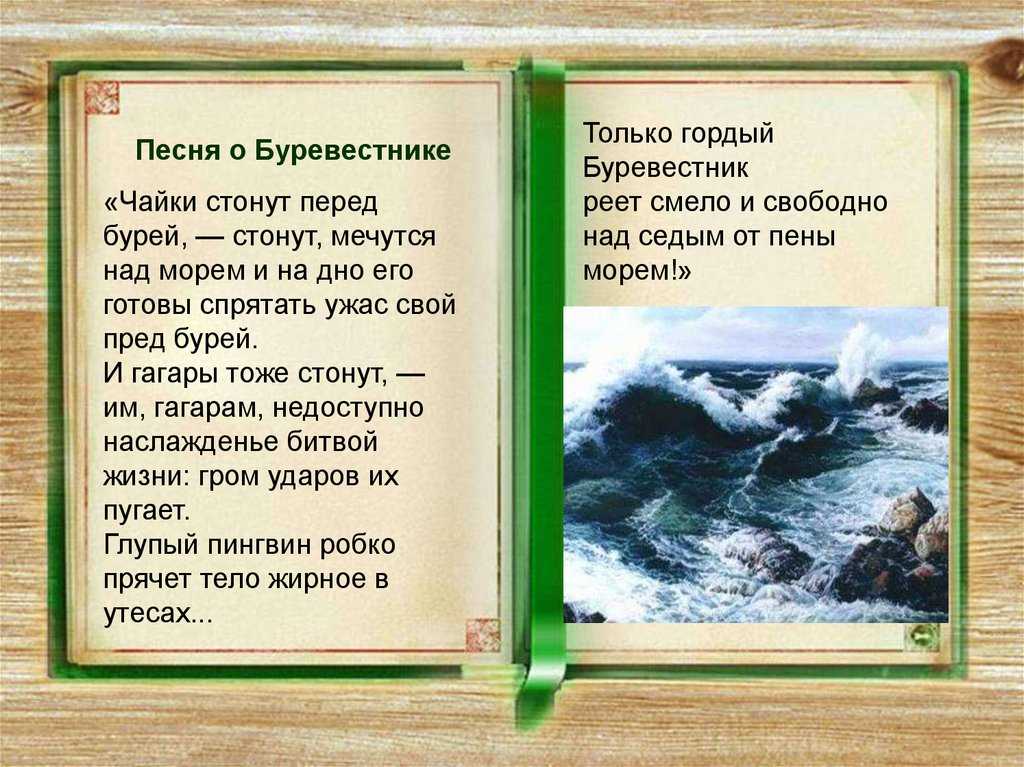 Анализ произведения песня о буревестнике горького сочинение