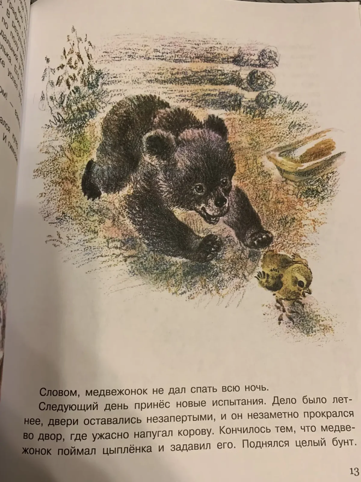 «приемыш» для читательского дневника: анализ рассказа, краткое содержание, основная мысль