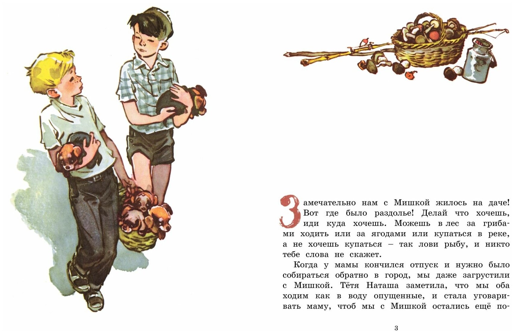 Носов приключения толи клюквина: главная мысль и главные герои