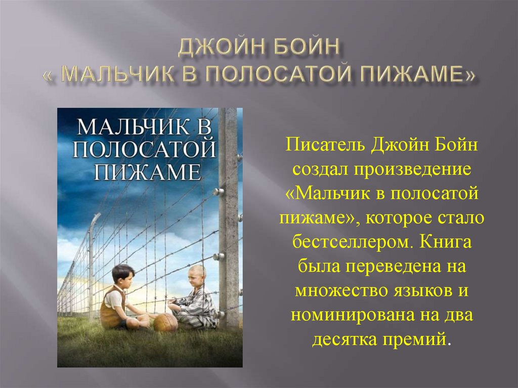 Мальчик в полосатой пижаме (книга), сюжет, герои, цитаты, отзывы прессы, экранизация