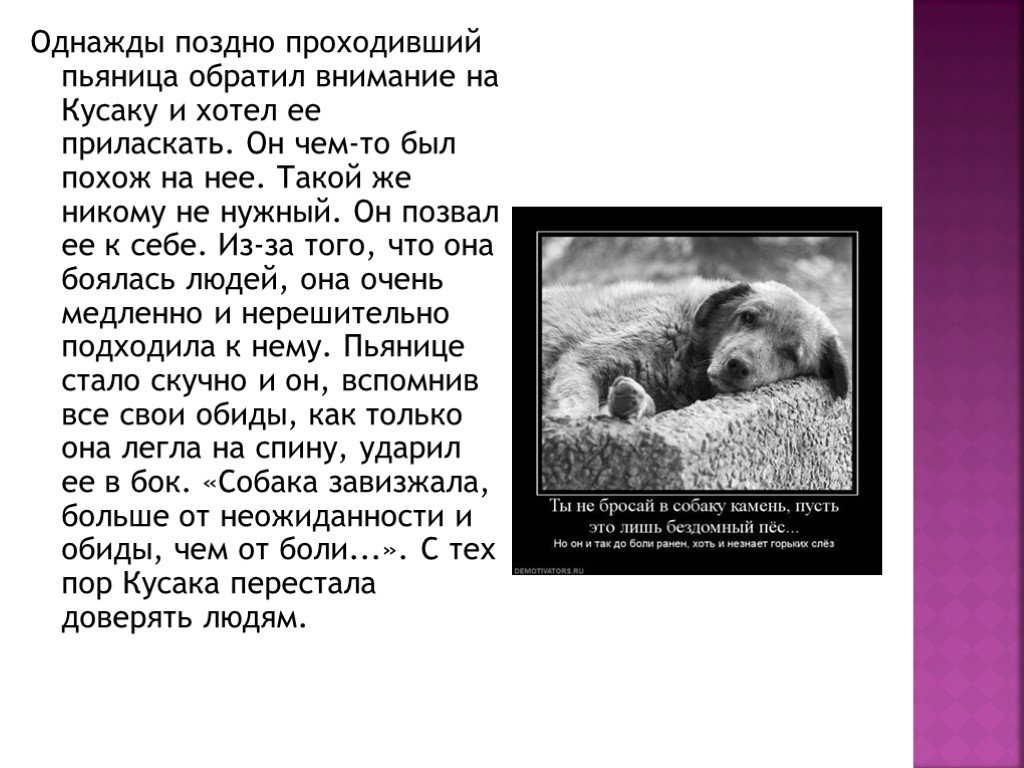 Краткое содержание андреев кусака для читательского дневника, читать краткий пересказ онлайн