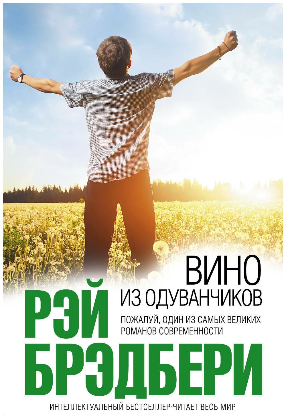 Сочинение по книге "вино из одуванчиков" брэдбери