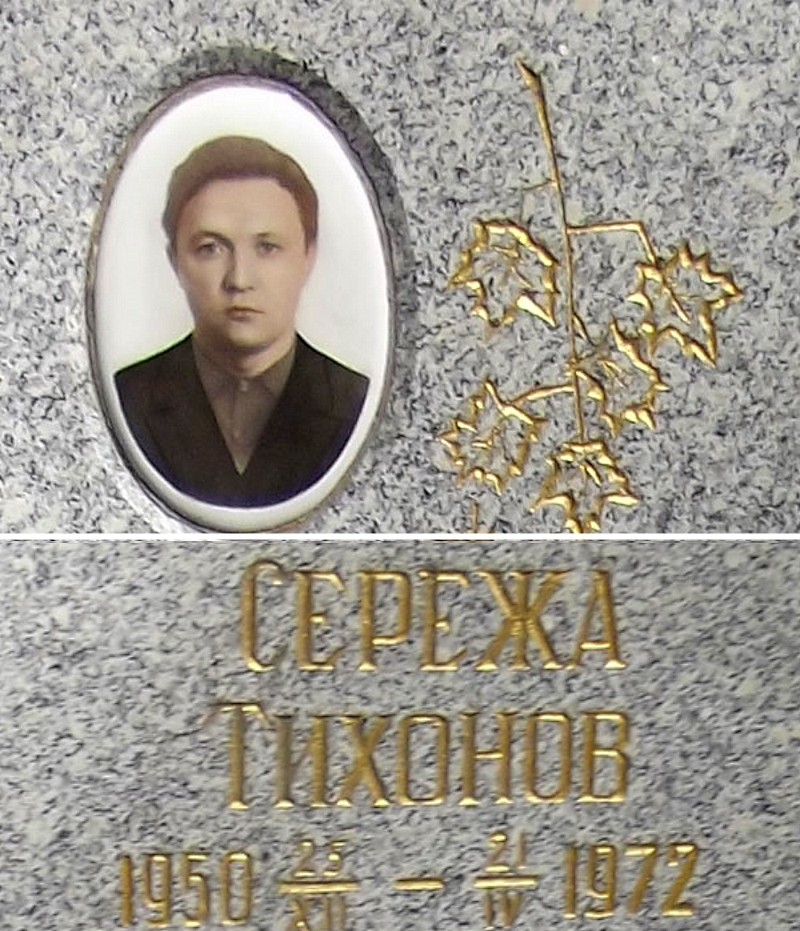 Проза с. довлатова : экзистенциальное сознание, поэтика абсурда  федотова юлия владимировна
